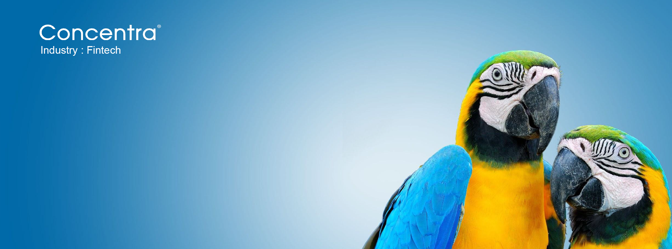 custom-software-development-services-industries-brainyyack